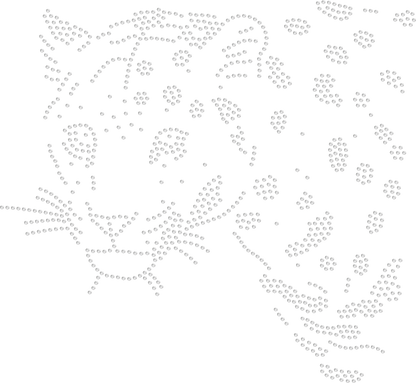 Leopard Rhinestone Design